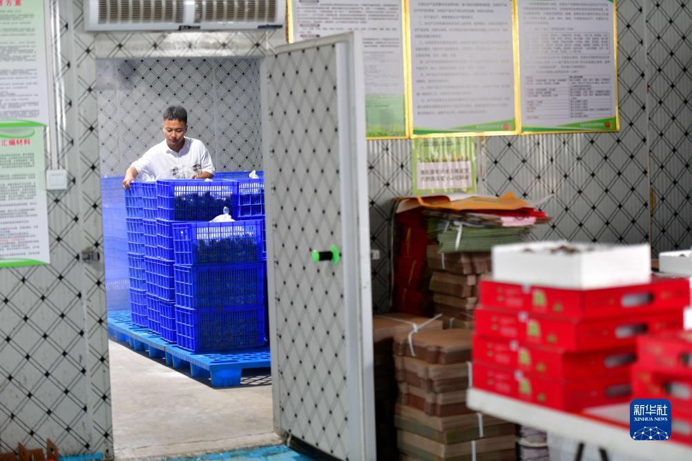 斗鱼黄金大奖赛官网积分