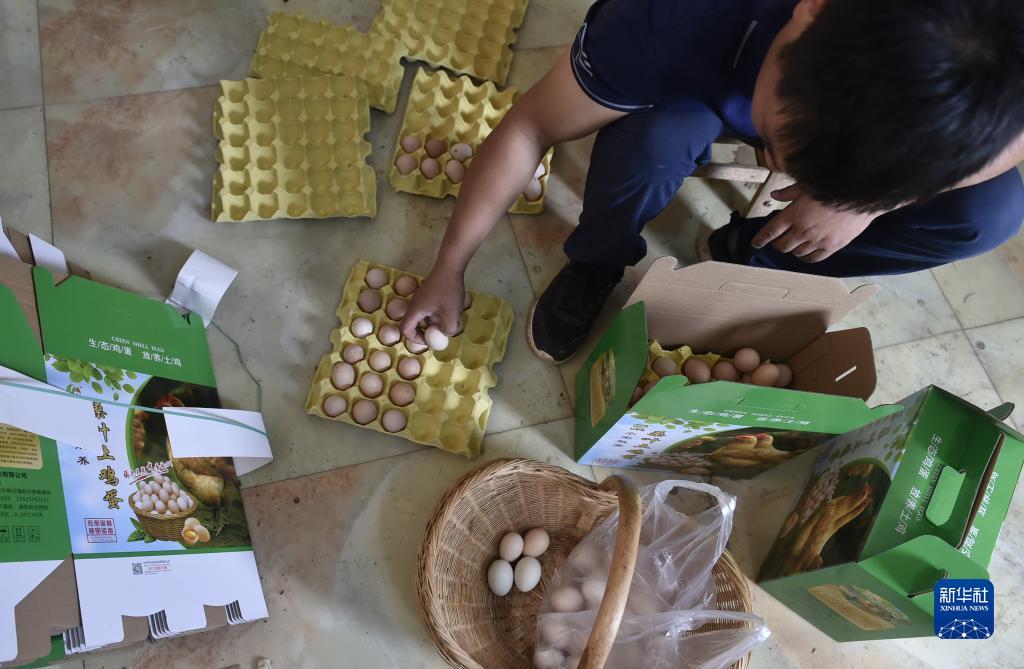 大厅中心棋牌